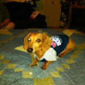 Meet your Posher, Samantha